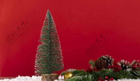 圣诞树摄影图图片