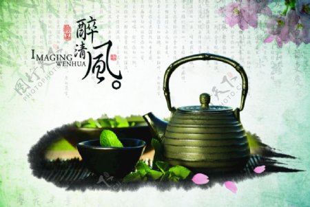 茶文化茶叶素材采茶制茶图片